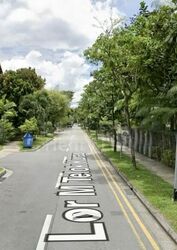 Lorong M Telok Kurau (D15), Semi-Detached #543809891